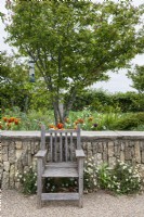Wooden chair by limestone wall with Erigeron karvinskianus, Mexican fleabane. Spring flowering border including orange and yellow tulips with Amelanchier lamarckii, Snowy mespilus multistem tree.

Horatio's Garden South West - Salisbury
The Duke of Cornwall Spinal Treatment Centre