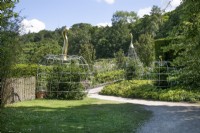 Apple and pear topiary framework at Chatsworth - June 