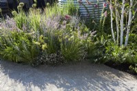 Border with achillea, perovskia, Erigeron karvanskianus, alliums and foxgloves. With reclaimed metal planter in The Vitamin G Garden at RHS Hampton Court Palace Garden Festival 2022. Summer. 