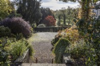 A view, down steps, to a large open gravelled driveway and parking area with a variety of trees and shrubs around with autumn colour. Regency House, Devon NGS garden. Autumn