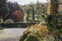 A view to a large open gravelled driveway and parking area with a variety of trees and shrubs around with autumn colour. Regency House, Devon NGS garden. Autumn