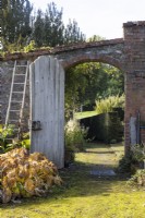 A moss covered gravel path leads through a large, open, aged, weathered, arched gate set in a red brick and stone wall. A ladder leans against the wall on the left. Regency House, Devon NGS garden. Autumn