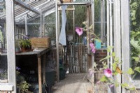 A wooden framed, lean-to style greenhouse with a wooden potting bench on left and varying tools such as spades lined up at the end. Regency House, Devon NGS garden. Autumn