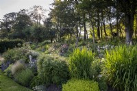 Deep perennial summer borders, with shading trees behind in a cornish country style garden