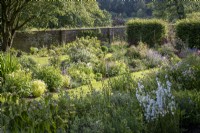 Long central summer borders filled with mixed perennials in a walled kitchen garden