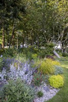 Dry gravel garden with stone bench and Nepeta 'Six Hills Giant',  Lobelia tupa, Stachys byzantina, Salvia 'Royal Bumble', Helianthemum 'Henfield Brilliant'