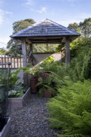 Wooden shelter in vegetable garden with rhubarb and ferns surrounding