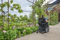 Patient in wheelchair under the rusted steel archway with the Duke of Cornwall Spinal Treatment Centre behind.

Plants include: trained apple trees in blossom with tulips 'Angelique' and 'Recreado'.

Horatio's Garden South West - Salisbury