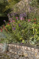 A border with autumn colour held by a brick wall. Regency House, Devon NGS garden. Autumn