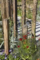 Reclaimed Oak posts used to form edges and divide the garden.