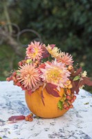 Autumn floral arrangement displayed in orange pumpkin - orange dahlias, autumn leaves and crab apples on white metal table