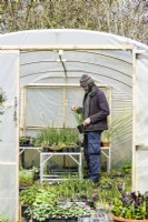 Man working in the Polytunnel