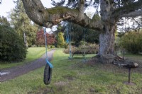 Swings made of rope, an old tyre and branches hang from a large bough of a tree. A barbeque is to the right. A picnic bench is in the background and a gravelled drive way runs to the left. Regency House, Devon NGS garden. Autumn