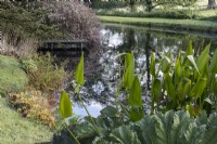 View over a variety of foliage and shrubs to a large pond with wooden pier. Regency House, Devon NGS garden. Autumn
