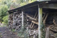 Piles of logs sit within a wooden log shelter. Regency House, Devon NGS garden. Autumn