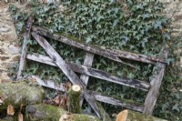 An old, broken, wooden gate leans against an ivy covered stone wall with logs in the foreground. Regency House, Devon NGS garden. Autumn