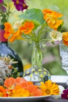 Nasturtium flowers in small glass vase.
