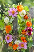 Summer flower wreath made of dahlia, nasturtium and French marigold.