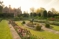 Sunrise over Chenies Manor and the sunken garden planted with multi-coloured Tulipa around scultpure.