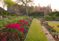 Sunrise over Chenies Manor and borders of multi-coloured tulips in the sunken garden including Tulipa 'Lasting Love', 'Temple of Beauty', Pieter Leur' and 'Temple of Beauty'.