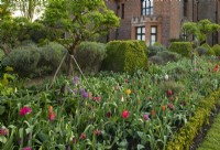 A border of multi-coloured Tulipa at Chenies Manor.