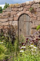 Old wooden gate in a stone wall - The Blue Diamond Group Beautiful Abandonment Garden, RHS Hampton Court Palace Garden Festival 2022