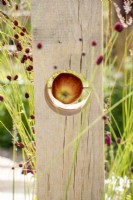 Bird feeder with fresh apple - The Wooden Spoon Garden - RHS Hampton Court Palace Garden Festival 2022