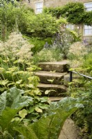 Path and steps leading through the garden at Cow Close Cottage, North Yorkshire in July framed by moisture loving plants