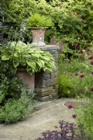 Container of Hosta beside a wall topped by a pot of Hakonechloa macra at Cow Close Cottage, North Yorkshire in July