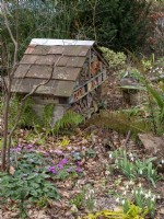 Large insect hotel with winter flowering Cyclamen coum and snowdrops
