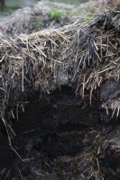 Cross section of a compost on an allotment showing decomposed matter ready for use and topped with straw. 