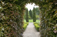 View through an arch in a hedge of Fagus sylvatica f. purpurea at Winterbourne Botanic Garden - May