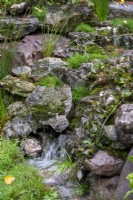 Natural stream emerging from rocks - The Blue Diamond Forge Garden, RHS Chelsea Flower Show 2021