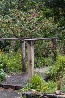 Wooden bridge over a stream with crab apple trees beyond - Guide Dogs 90th Anniversary Garden, RHS Chelsea Flower Show 2021