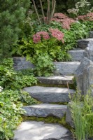 Stone steps leading up past planting of Sedums, ferns, wild Strawberries and Geranium - Bodmin Jail: 60 Degrees East - A Garden between Continents, RHS Chelsea Flower Show 2021