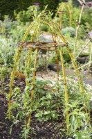 Plant supports made from willow wands.