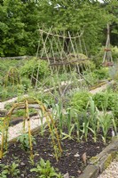 Kitchen garden with herbs and plant supports made from willow and hazel.