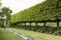 Hornbeam allee of pleached trees with central rill in May.