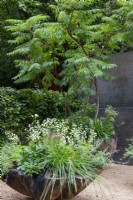 Rhus typhina overhangs scallop-shaped containers with mixed planting of Pittosporum tobira, grasses, Nepeta, Gaura, Astrantia, Delphiniuim and Thalicrum delavayi 'Splendid White' - The Stolen Soul Garden, RHS Chelsea Flower Show 2021