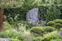 Large stones and boulders amongst late Summer planting of Veronica longifolia, Salvia 'Caradonna', Anemone x hybrida, Thalictrum 'Hewitt's Double' and Pinus mugo 'Gnom' - Bodmin Jail: 60 Degrees East - A Garden between Continents, RHS Chelsea Flower Show 2021