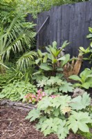 Tropical garden in August 