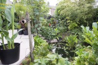 Tropical garden in August with small pond
