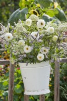 Bunch of white flowers in bucket. containing Dahlia, Agastache rugosa and Ammi majus.