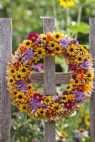 Summer wreath containing rudbeckia, cosmos, aster, verbena and signet marigold.