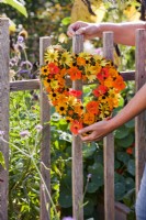 Woman hanging wreath made of rudbeckia, nasturtium, sunflowers, pot and signet marigold on fence.