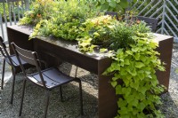 Seating group with planted table: sweet potato, midday gold, golden oregano and nasturtium
