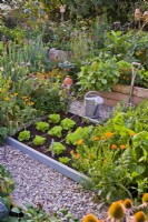 Raised beds in kitchen garden full of growing crops separated by gravel paths.