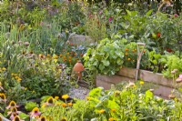 Kitchen garden with raised beds full of growing vegetables, flowers and herbs.