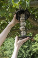 Hanging fat ball bird feeder in tree