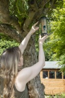 Woman hanging grain bird feeder in tree